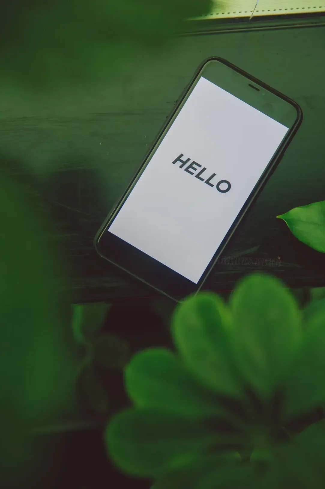 シニア向けスマホ使い方講座